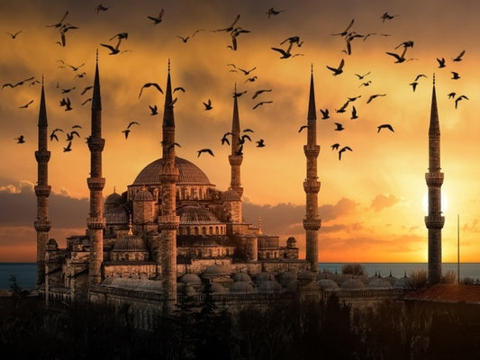 Taj Mahal Crow Sunset Picture