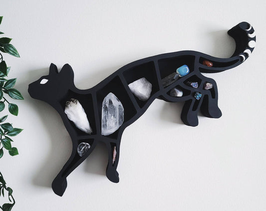 Crystal Display Shelves