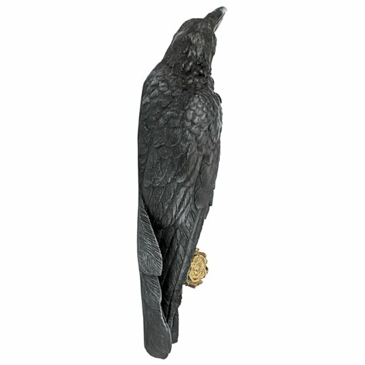 Black Crow Resin Wall Sculpture